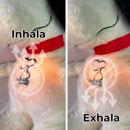 Peluche que respira para dormir